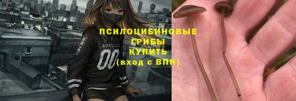 ешки Вязники