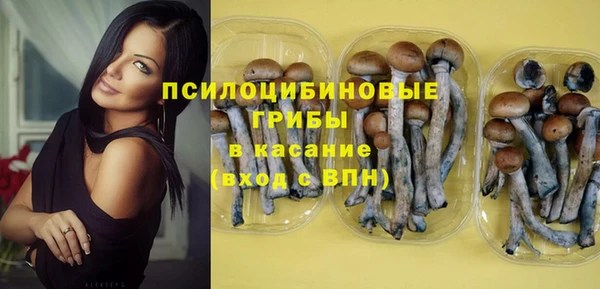 ешки Вязники